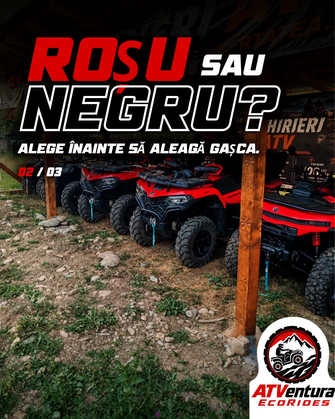 Slide 02: „Roșu sau negru? Alege înainte să aleagă gașca.”